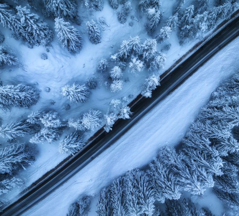 A narrow road runs straight through a dense winter forest, with trees heavily covered in snow.