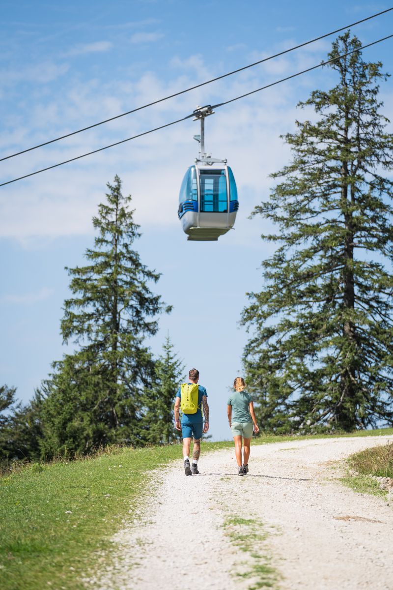 Two people are walking along a gravel path towards a blue cable car, surrounded by tall trees under a clear blue sky.