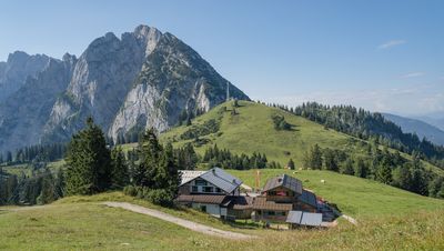 Berglandschaft mit zwei nebeneinander stehenden Almhütten auf einem grasbewachsenen Hügel, umgeben von immergrünen Bäumen und schroffen Gipfeln unter einem klaren blauen Himmel. Im Hintergrund grasende Kühe.