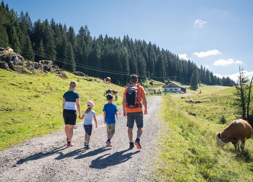 Eine vierköpfige Familie geht auf einem Schotterweg durch eine malerische, sonnige Landschaft mit grünen Hügeln, vorbei an Kühen, Richtung einer Almhütte.