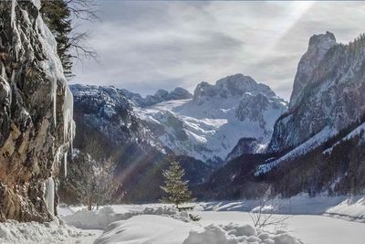 Schneebedeckter Dachstein Gletscher aus der Nähe, davor eine verschneite Landschaft mit gefrorenen See, links eine Felswand und im Vordergrund kleine Bäume.
