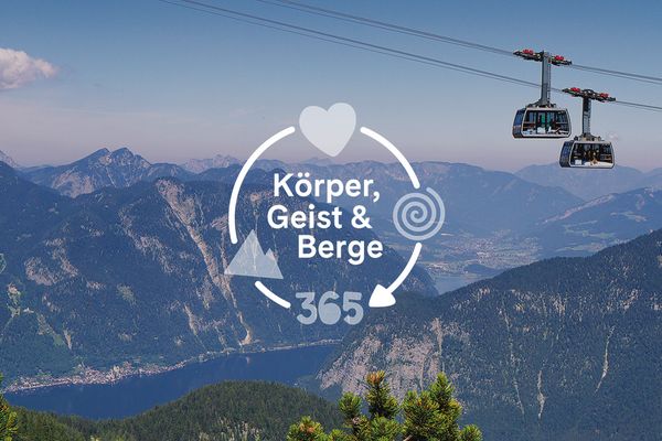 Zwei Gondeln der Dachstein Krippenstein-Seilbahn schweben über das sommerliche Bergpanorama mit Blick auf den Hallstättersee.