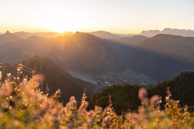 Abendsonne taucht Berge und Traunsee in warmes Licht, im Vordergrund blühende Wiese am Feuerkogel.