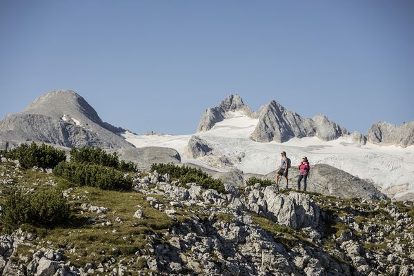 Zwei Wanderer stehen auf einem felsigen Hügel mit Blick auf eine weite Gletscherlandschaft und majestätische Berge unter blauem Himmel.