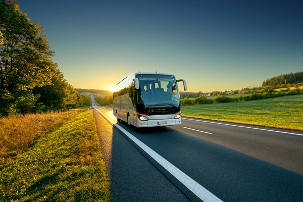 Ein weißer Reisebus fährt bei tiefstehender Sonne durch eine grüne Landschaft mit Feldern und Bäumen.