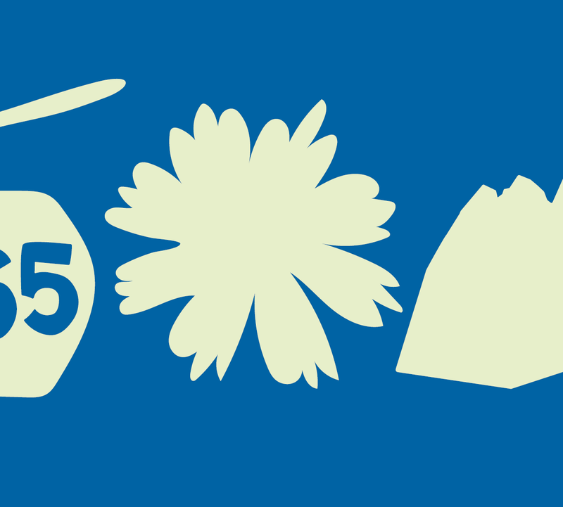 Seilbahn-, Schneeflocken und Berg-Icon für Natürlich 365 Ticket