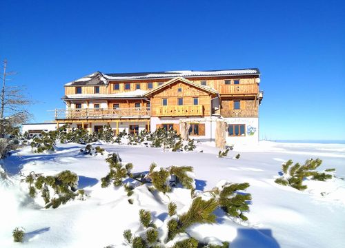 Lodge Almhaus Dachsteinblick, surrounded by snow and fir trees, under a radiant blue sky.