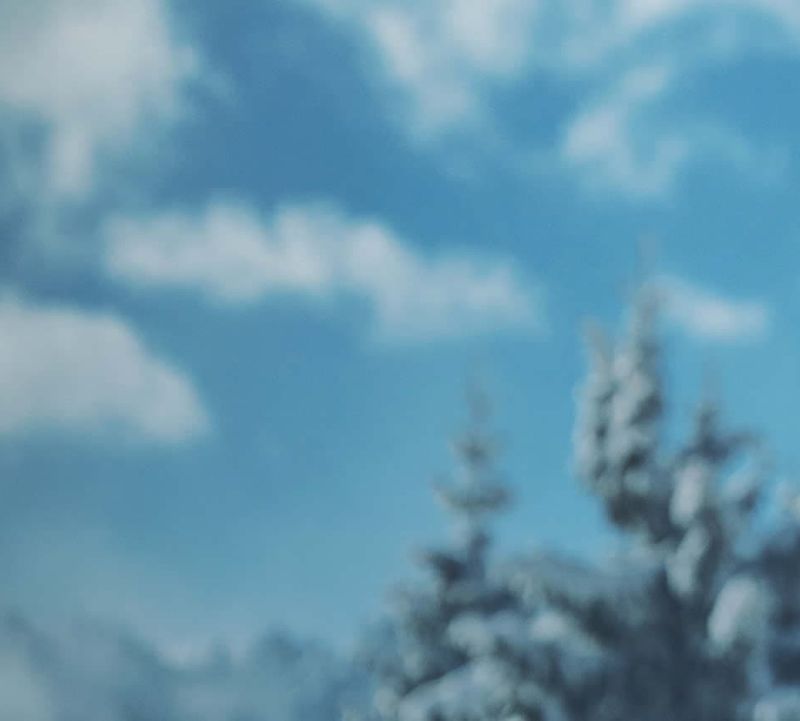 Icicles hanging from a roof against the background of a snow-covered tree and a partly cloudy blue sky.