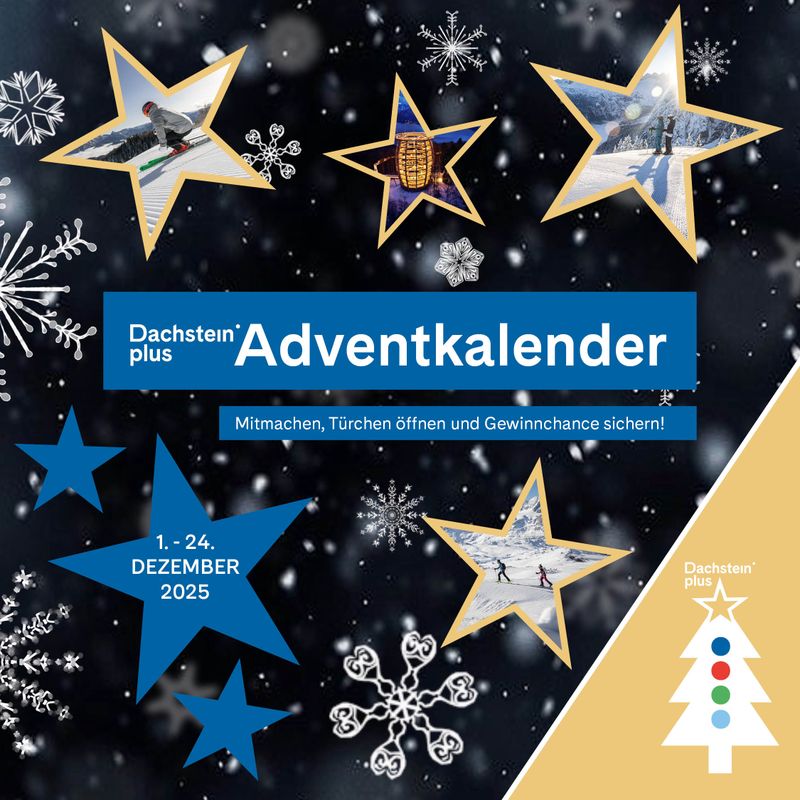 Winterliches Plakat mit Sternen und Schneeflocken wirbt für den Dachstein plus Club Adventkalender