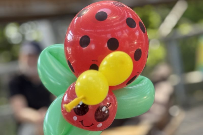 Ein bunter Marienkäfer aus Luftballons: roter Körper mit schwarzen Punkten, grüne Flügel, gelbe Fühler und ein lächelndes Gesicht.