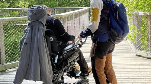 Barrierefreier Eingang Baumwipfelpfad