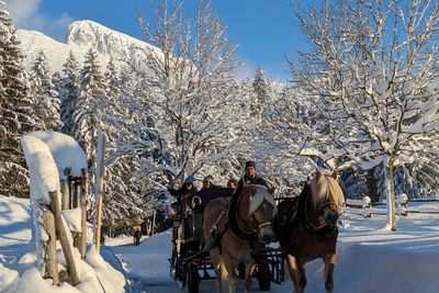 Zwei Pferde ziehen einen Schlitten mit Passagieren durch eine tief verschneite Winterlandschaft mit Bäumen und Bergen unter blauem Himmel.