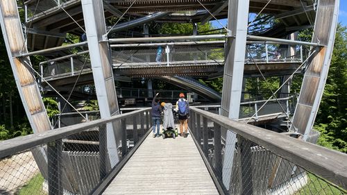 Eingang Aussichtsturm Baumwipfelpfad