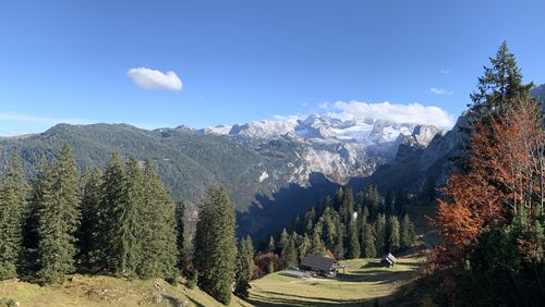 Berglandschaft mit Bäumen in herbstlichen Farben, ein paar kleinen Hütten und dem schneebedeckten Dachstein Gletscher unter einem klaren blauen Himmel.