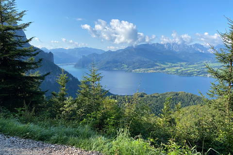 Forest path through green trees with a view of mountains and blue sky with white clouds.