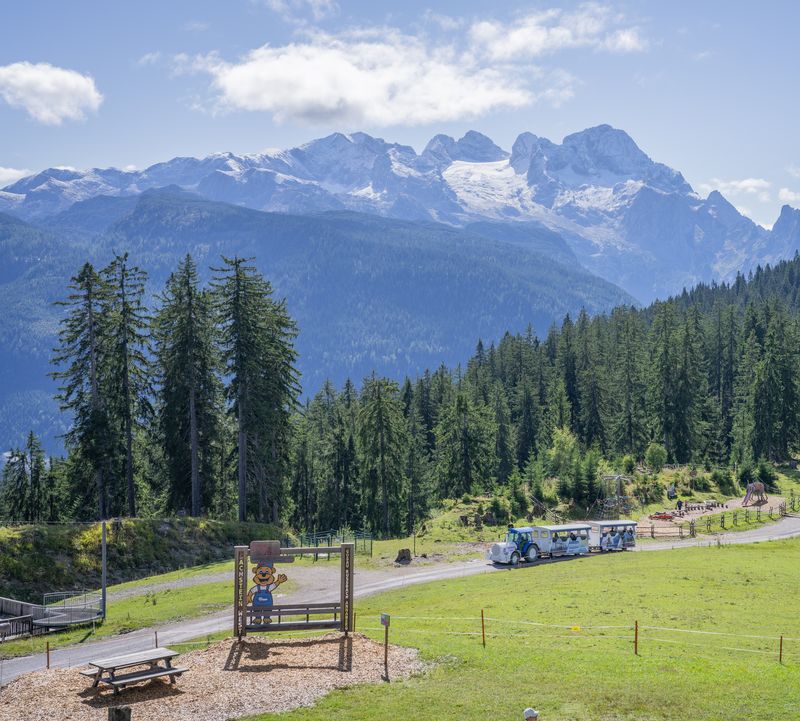 A picturesque view of the snow-covered Dachstein glacier and a slow train travelling along a winding road. All around, lush green trees and alpine meadows under a blue sky.