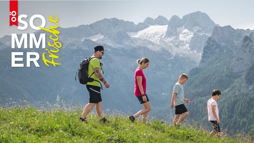 Family hiking on a grassy hill with the Dachstein glacier in the background under a clear sky. Text or logo on the picture: ‘Upper Austrian summer holiday.’