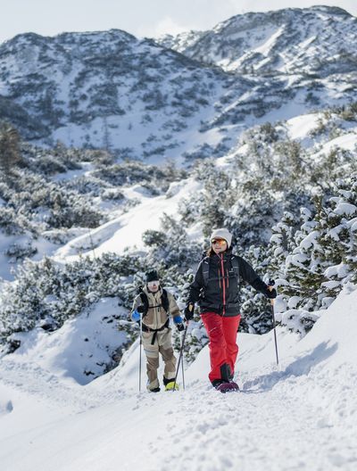 Zwei Wanderer mit Schneeschuhen auf einem sonnigen, verschneiten Bergpfad am Feuerkogel, umgeben von schneebedeckten Sträuchern und Bergen.