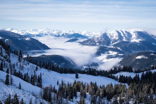 Schneebedeckte Kiefern in einer Winterlandschaft mit entfernten Bergen unter einem klaren blauen Himmel.
