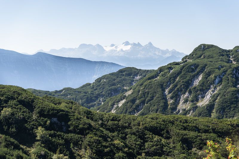 Berglandschaft mit grünen Hügeln im Vordergrund und schneebedeckten Gipfeln in der Ferne unter blauem Himmel.