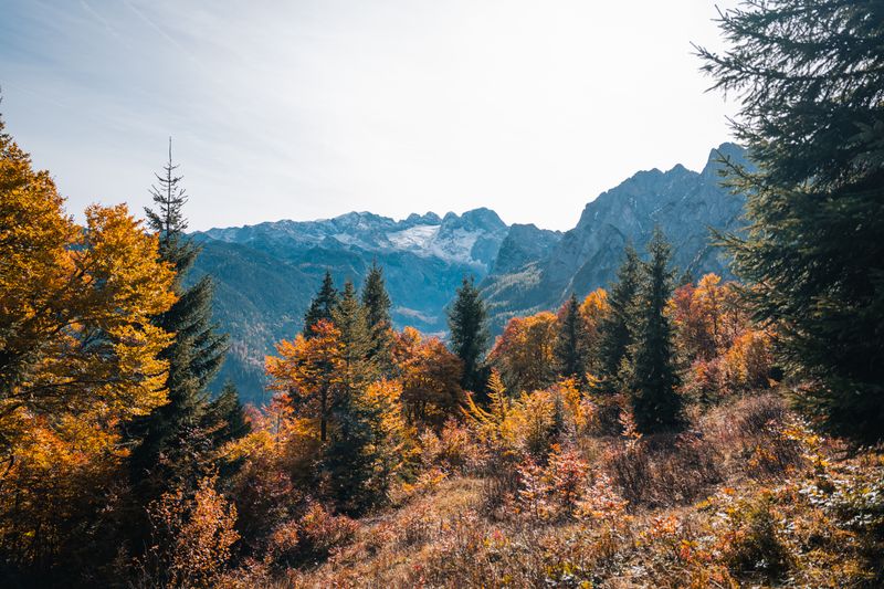 Bunte Herbstbäume vor majestätischen Bergen mit hellen Gipfeln unter klarem Himmel.