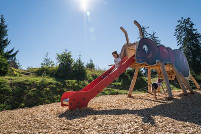 Children play on a playground slide shaped like a giant ant, surrounded by wood chips and trees under a clear blue sky.