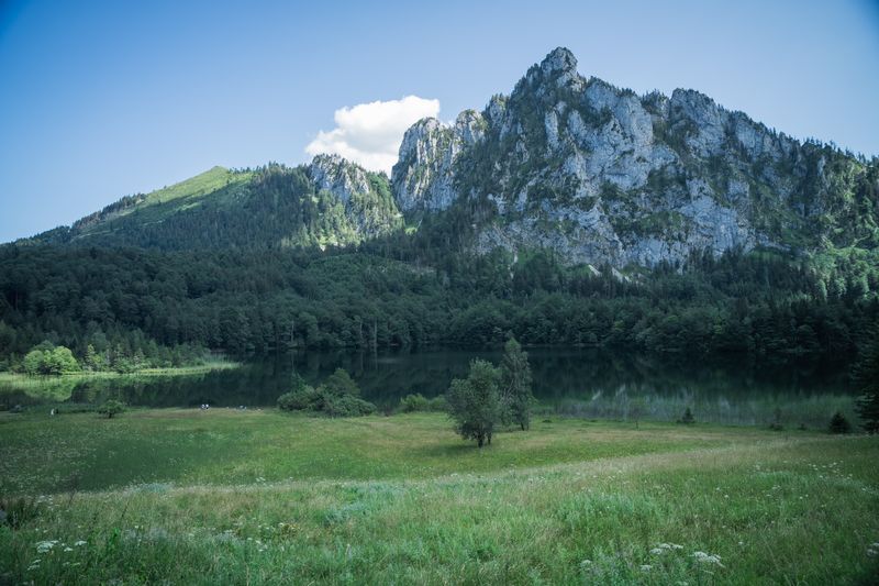 Grüne Wiese führt zu einem ruhigen See, umrahmt von Felsen und Bergen unter blauem Himmel.