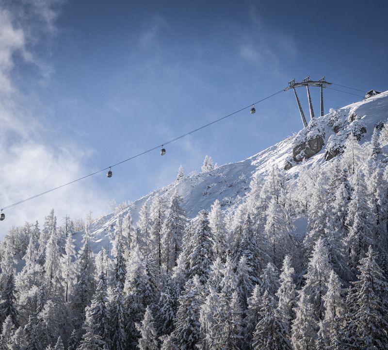 Verschneiter Berghang mit einer Reihe von Gondeln, umgeben von frostigen Tannenbäumen unter einem klaren blauen Himmel.