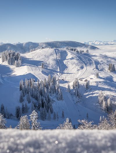 Panoramablick auf eine verschneite Hügellandschaft mit Skipisten, umgeben von Wäldern und Bergen, unter blauem Himmel.