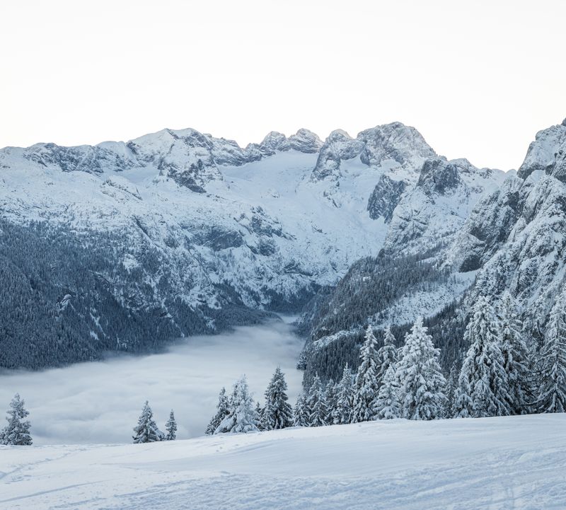 Schneebedeckte Berglandschaft, mit dem Dachstein Gletscher im Mittelpunkt und Bäumen unter einem klaren Himmel, in der Ferne ein nebelverhangenes Tal.