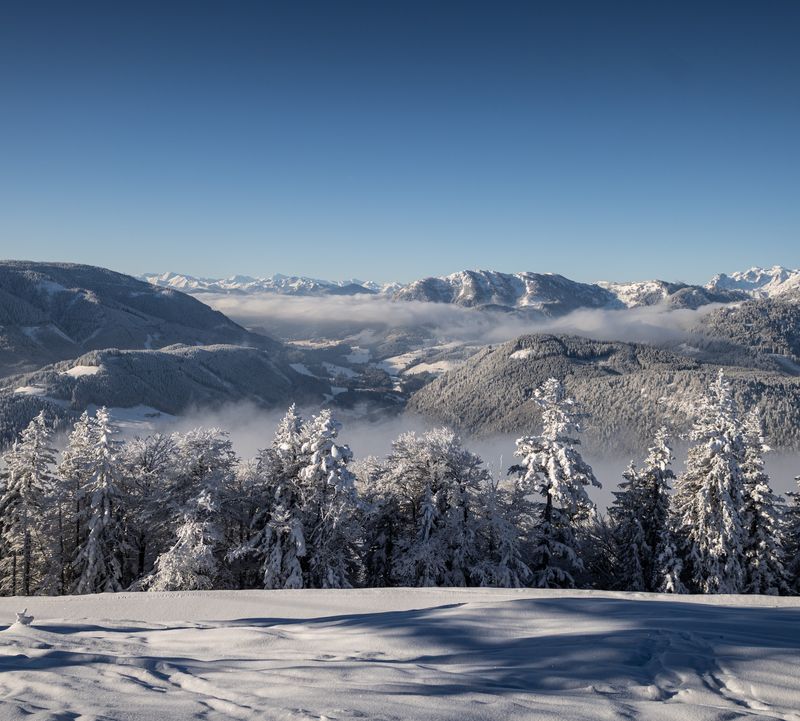 Schneebedeckte Bäume mit einer Berglandschaft im Hintergrund unter einem klaren blauen Himmel. Nebel schwebt über den entfernten Tälern.