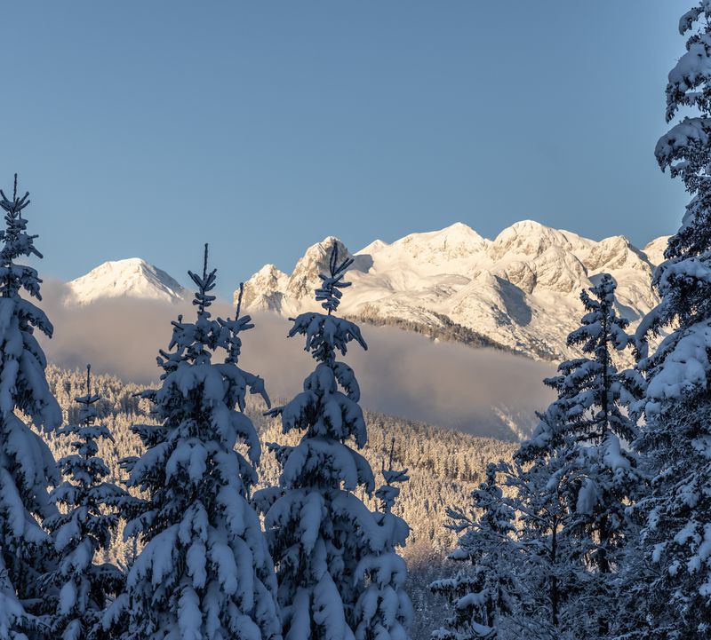 Schneebedeckte Bäume im Vordergrund und majestätische Berge im Hintergrund unter einem klaren blauen Himmel. Ein Nebelstreifen inmitten des Bildes.