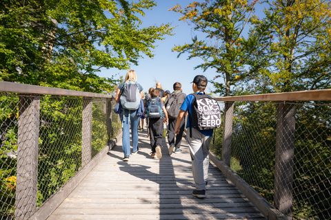 A group of people walks along a wooden treetop walk, surrounded by green treetops under a blue sky on a sunny day.