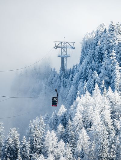 Eine rote Seilbahngondel schwebt durch verschneite Tannen am Feuerkogel, der Wald liegt still im Nebel.