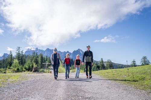 Eine vierköpfige Familie, die Hand in Hand auf einem Schotterweg durch Berge und Wälder unter strahlend blauem Himmel spaziert.