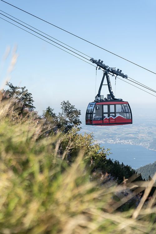 Rote Bergbahn Feuerkogel schwebt über blühende Almwiesen mit weitem Blick auf den Traunsee