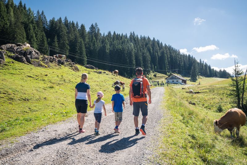 Eine Familie, mit zwei Erwachsenen und zwei Kindern spaziert auf einem Wanderweg Richtung einer Almhütte. Links und rechts grasen Kühe auf den Almwiesen unter blauem Himmel