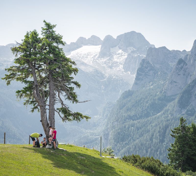 Hikers rest under a tree on a grassy hill against a backdrop of majestic mountains and clear skies. One of the people opens a rucksack.