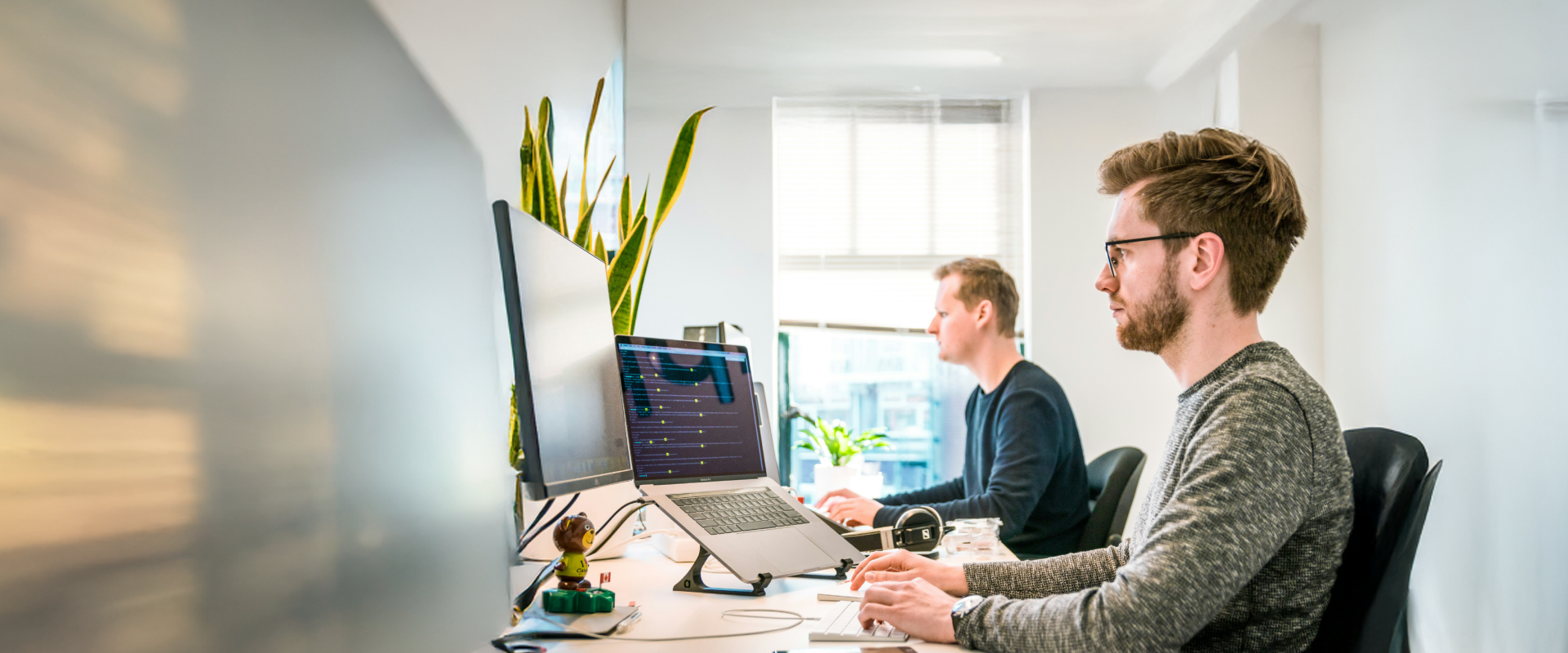 Senior Web Developer (m/w/d) – Remote Job W11K | Fullstack