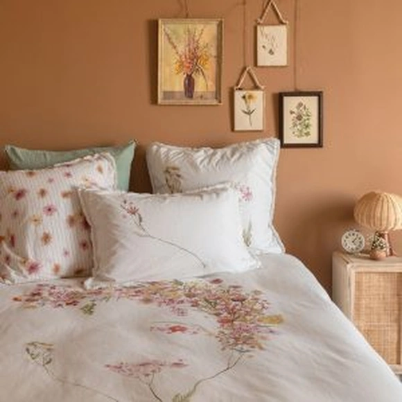 Une chambre avec un mur de couleur