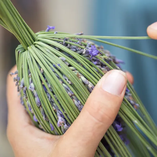 Elsa Lenthal x Carré Blanc : Une capsule sensorielle et responsable