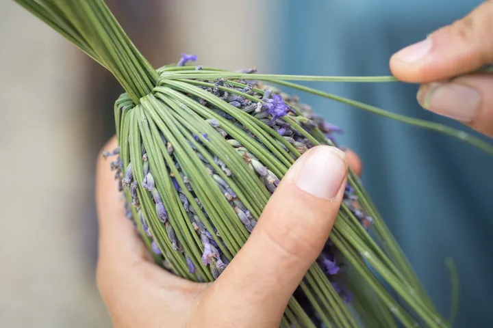 Elsa Lenthal x Carré Blanc : Une capsule sensorielle et responsable