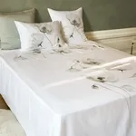 Pantone 2026 : comment la couleur “Cloud dancer” redéfinit le blanc ?