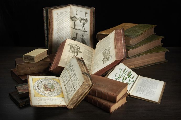 A collection of vintage books displayed on a dark wooden table, featuring illustrations of birds, plants, and a circular diagram.