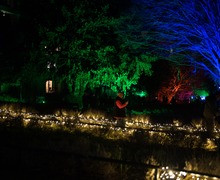 A nighttime scene with trees illuminated in blue, green, and red lights. People walk along a path lined with string lights.