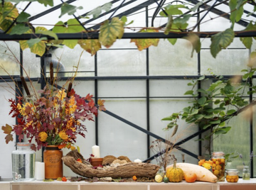 A decorative autumn-themed display inside a greenhouse featuring colorful foliage in a vase, candles, driftwood, pumpkins, and jars of preserved fruits.