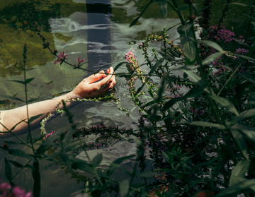 A hand floating in water surrounded by green plants and purple flowers. The scene reflects a serene, natural setting.