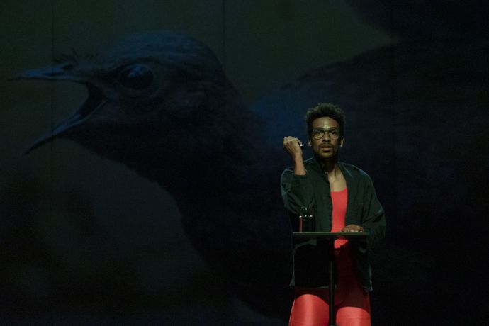 A dancer in vibrant attire stands on stage with a large bird image in the background, gesturing while holding a drink beside them.