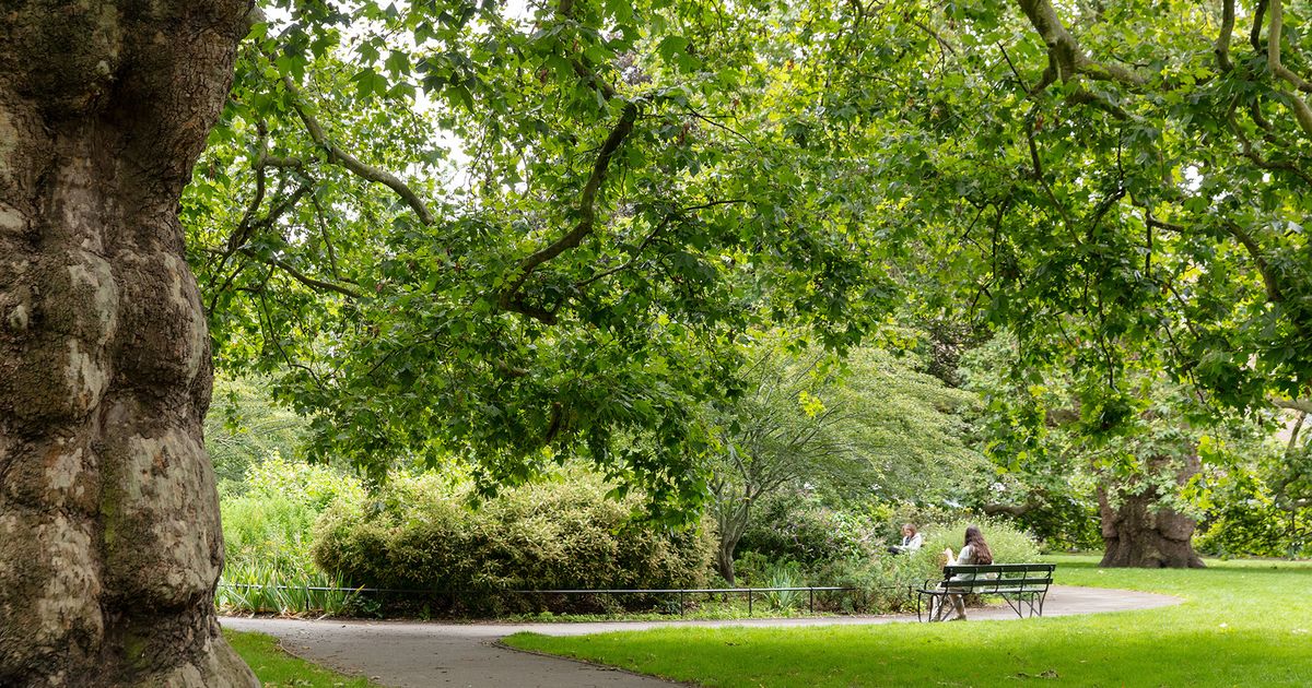 Hidden Gardens of London Walking Tour