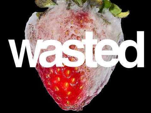 A black backround with a rotten Strawberry with the word Wasted coming across